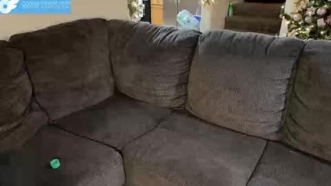 MrSteeleXXX - snapchat online show from November 27, 4:42 am