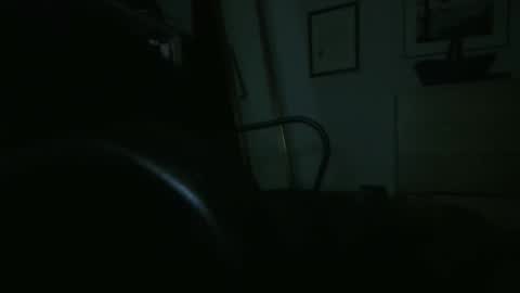 13Swan online show from January 19, 2:04 am