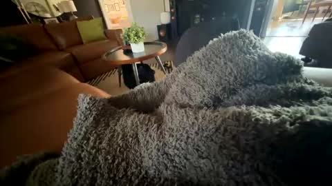 BiHungThickCock69 online show from February 5, 9:40 pm