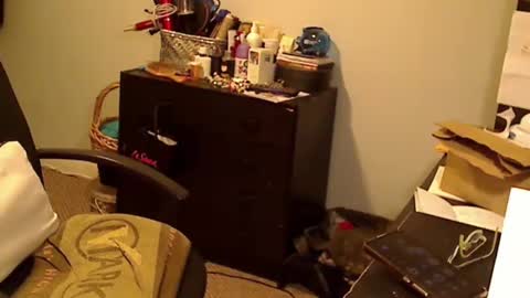 Susan online show from December 1, 11:29 pm