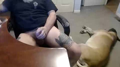 MASTIFF online show from January 16, 3:26 am