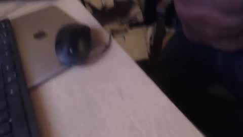 8sperm online show from February 7, 4:04 am