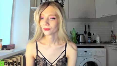 Snapshot of _alice_kitty chatting on January 28, 12:00 pm Gaylord online show from January 28, 12:00 pm