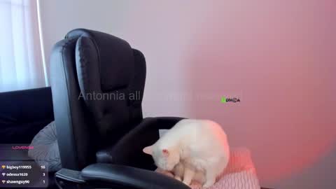 _anttonia_ online show from February 17, 7:02 pm