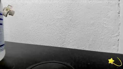 Layne online show from June 13, 10:58 am
