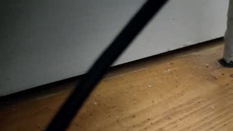 _nicetobehere_ online show from January 16, 1:09 pm