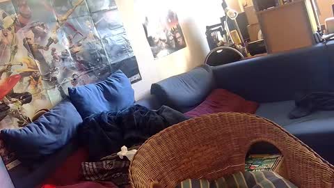 Sven online show from October 6, 11:50 am