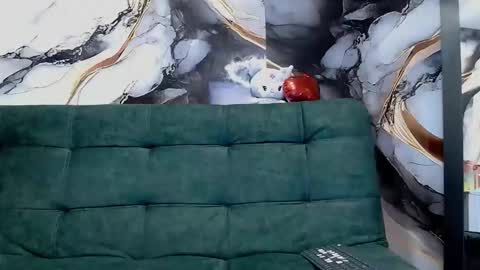 _weird_sativa online show from March 25, 5:14 am