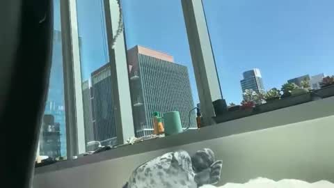 aaron494949 online show from April 5, 7:55 pm