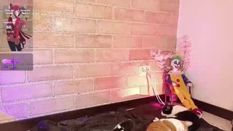 Abbeey online show from October 26, 10:42 pm