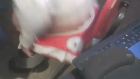 Snapshot of adamsny chatting on January 20, 7:04 am adamsny online show from January 20, 7:04 am