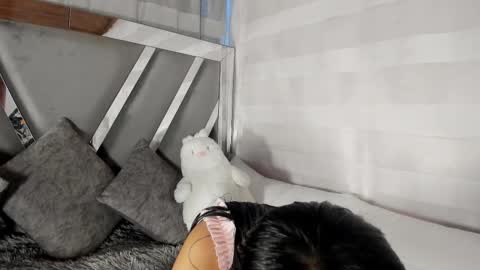 Stormi online show from March 10, 10:35 pm