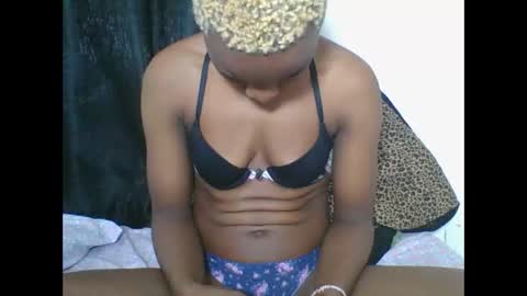 PHOEBE online show from November 1, 2:16 pm