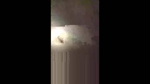 aj297914 online show from February 8, 5:22 am