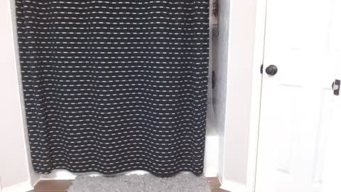 Alanna Rack online show from March 6, 4:38 pm