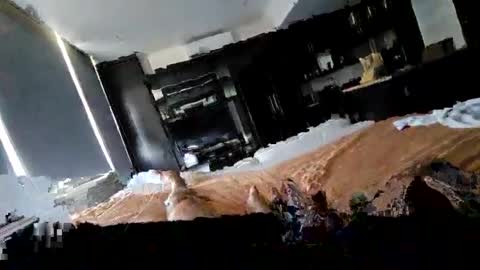 alenart online show from February 2, 7:46 pm