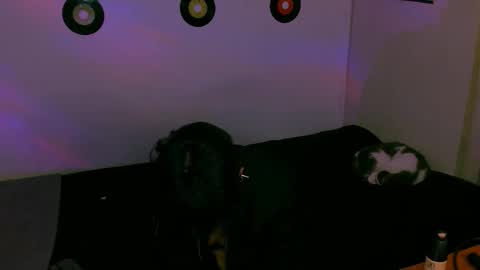 Alex online show from November 7, 1:08 am