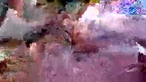 alexa334288 online show from November 20, 7:18 am