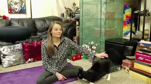 Alexa  GW online show from January 21, 4:43 am