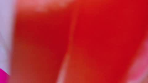 Snapshot of alexandramaravilla chatting on February 4, 8:02 am ALEXANDRA online show from February 4, 8:02 am