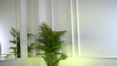 alexxiskye online show from November 18, 8:50 am