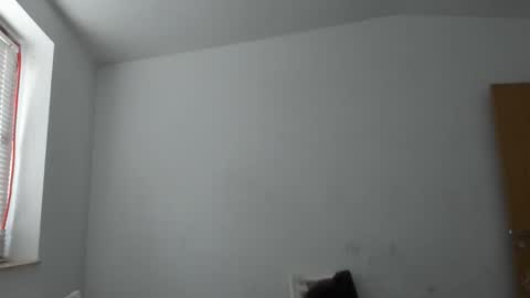 alfiesolomons87 online show from November 14, 9:44 am