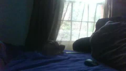 allbermy online show from February 23, 9:48 pm