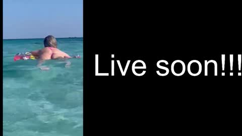 Allie online show from November 4, 5:42 am