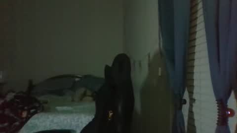 ally12334 online show from November 5, 2:24 am