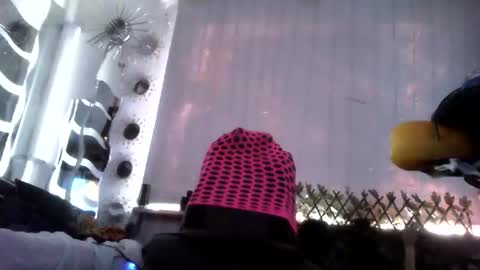 HoneyMelonGuy online show from June 7, 6:07 am