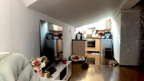 amyroberta92 online show from December 19, 7:59 am