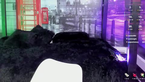 Ana My schedule 0400 - 1600 GMT -5 online show from January 9, 5:40 pm