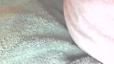 analhunter33 online show from February 6, 12:22 am