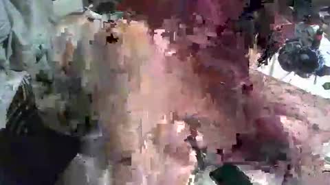 Snapshot of analwhore666 chatting on January 23, 11:37 am kinkylilanalslut online show from January 23, 11:37 am