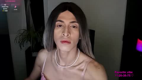 Andy van der Rose online show from February 5, 9:46 am