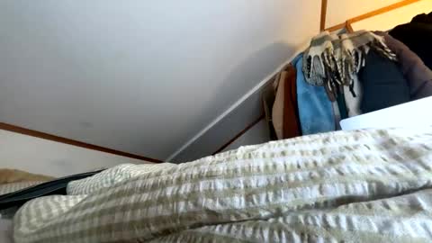 Angelica online show from November 6, 1:14 pm