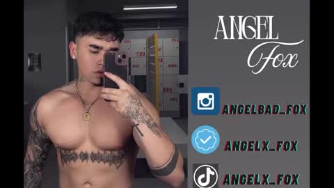 Angel Fox online show from December 5, 9:19 am
