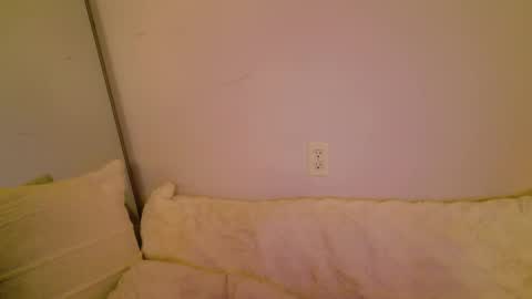 meow online show from November 8, 5:32 am