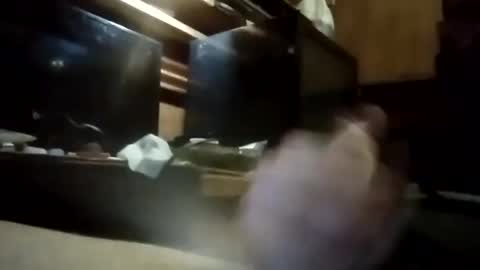 apocolypseanomaly online show from January 3, 10:52 am