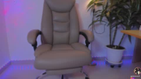 Apo online show from January 19, 12:04 pm