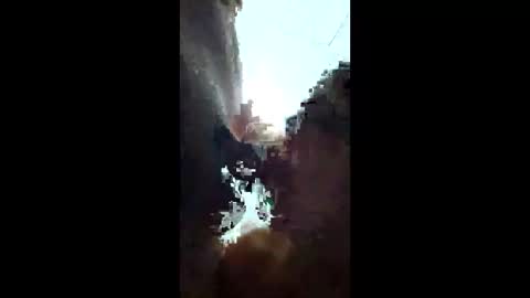 Argentaliana online show from March 23, 5:01 am