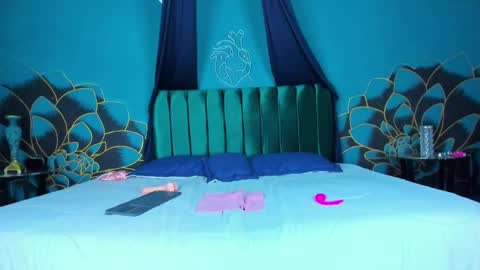 Snapshot of arii_moon chatting on February 22, 10:42 pm Ari online show from February 22, 10:42 pm