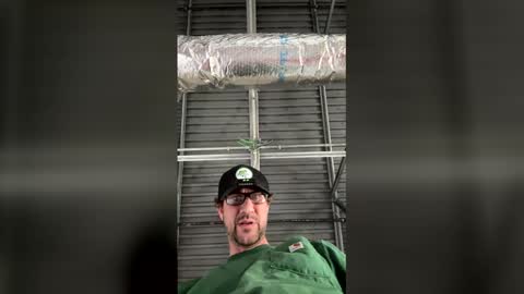 asharp3333 online show from February 24, 8:12 pm