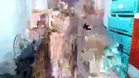 sweet feb online show from November 7, 12:18 pm