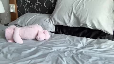 asiangirlandwhiteguy online show from July 6, 4:31 am