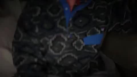 Will online show from February 15, 2:14 am