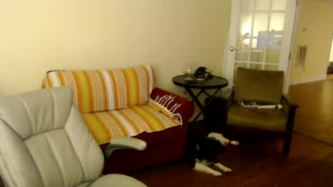 B  Baby online show from July 16, 1:53 am