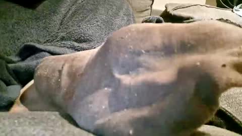 Axelle online show from November 7, 10:23 pm