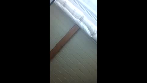 baby00004444 online show from March 14, 10:19 am