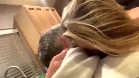 baby blues online show from January 10, 1:53 am